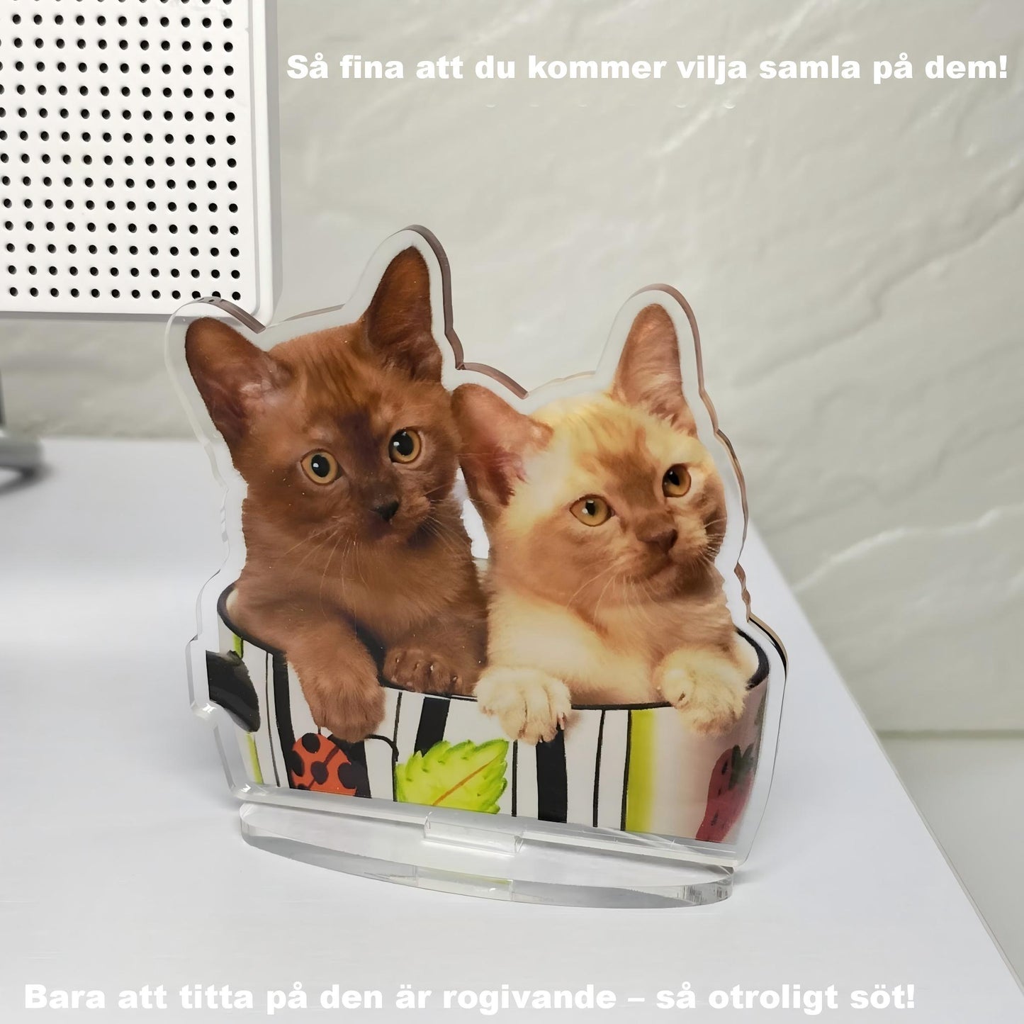 Anpassat akrylställ i transparent akryl, dekorativ souvenir, födelsedagspresent, husdjur (katt och hund), nyckelring, animefigur och seriefigur.