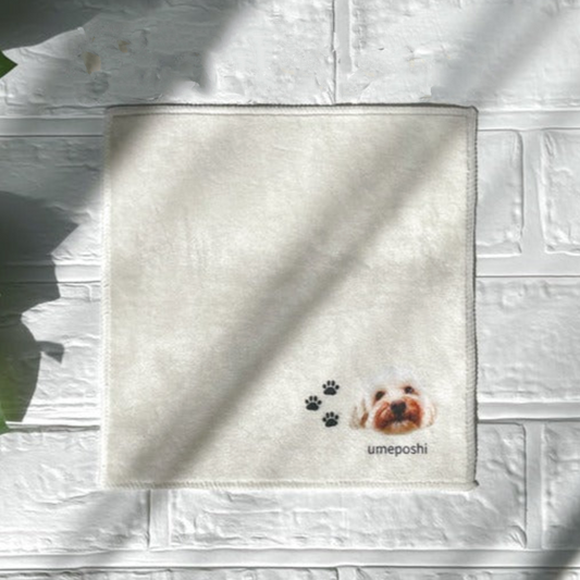 🐱🐶 Personligt anpassad näsduk med porträtt och namn av ditt husdjur • Minihandduk med ditt husdjur • Present till husdjursälskare • Personliga husdjursprodukter • Husdjursfilt • Specialbeställning med ditt husdjur • Minnesgåva