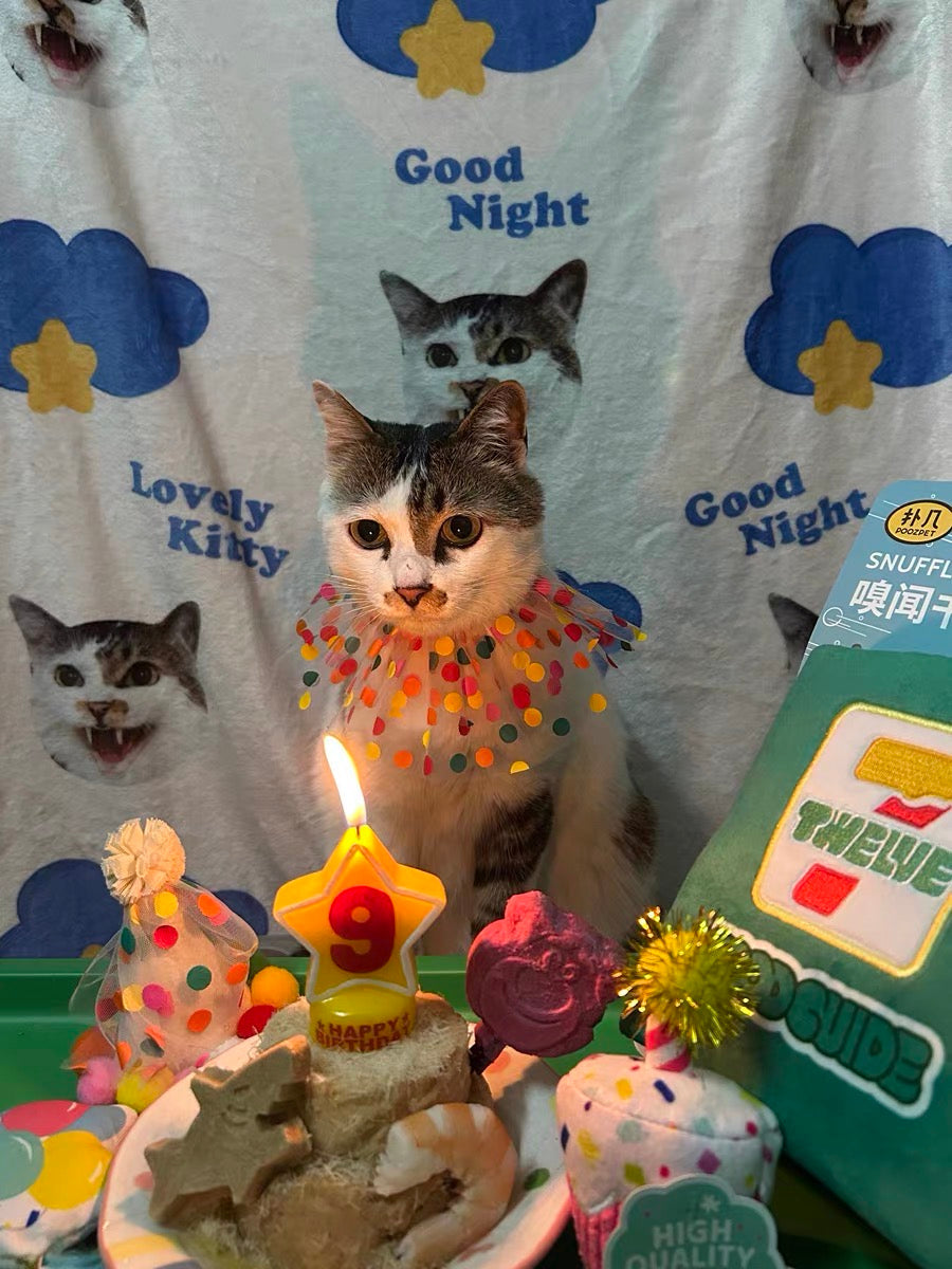Personliga husdjursprodukter – filt med foto på din älskade hund eller katt｜Specialbeställning